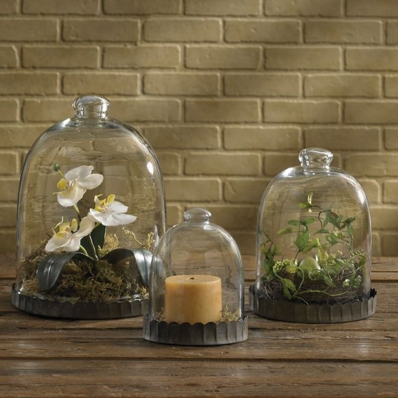 Park Designs Other - Glass Bell Cloche 12" - Small